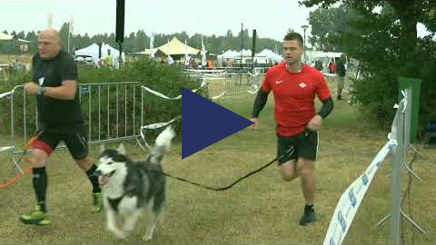 Dogsurvival 2023 - 09:30 - 10:30