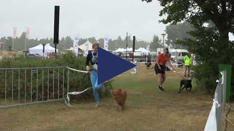 Dog Survival 1 juli 2023 12.30 - 13.30