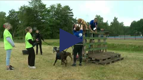 Dogsurvival 1 juli 2023 13.30 - 14.30